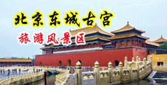 男女直接做插乳视频中国北京-东城古宫旅游风景区